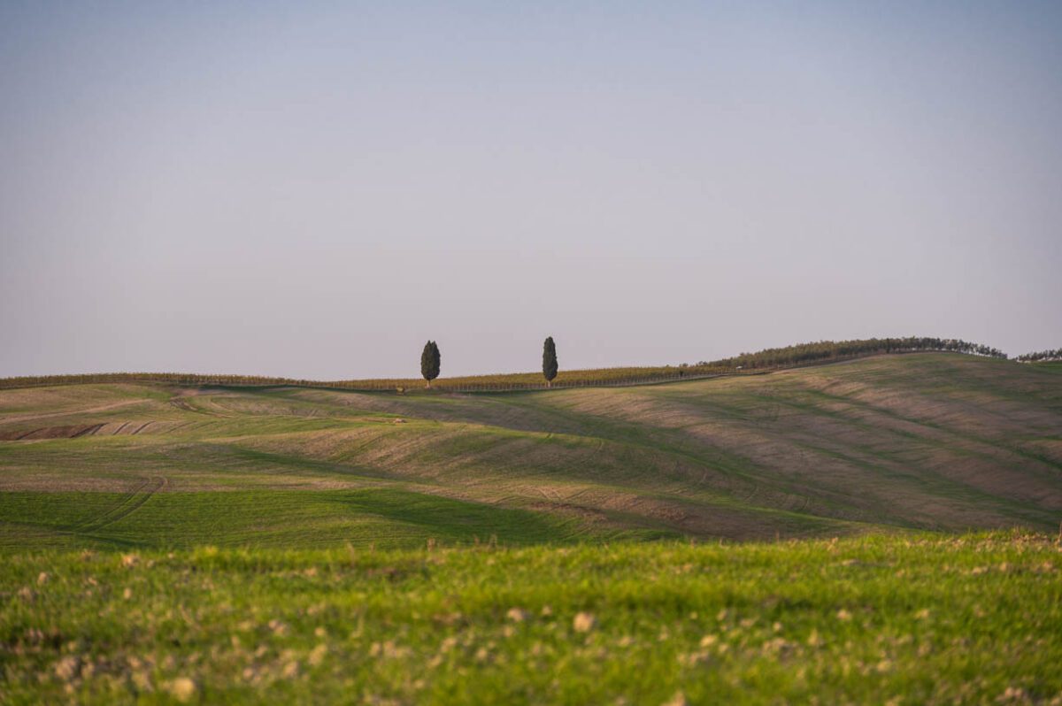 rolling hills of Tuscany