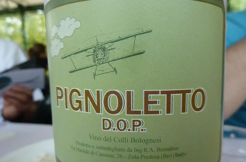 Pignoletto on tunnettu kuuluisa viini Bolognassa Italiassa.