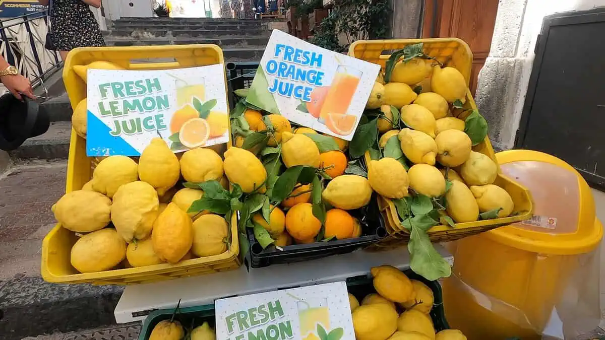 Лимони от крайбрежието на Амалфи